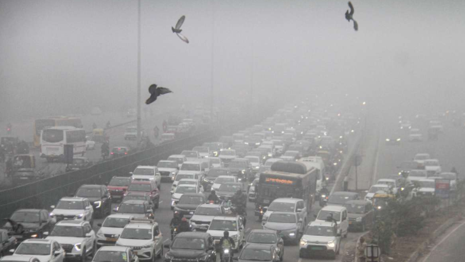 दिल्ली-यूपी समेत 9 राज्यों मे बारिश से फिर बढ़ेगी ठंड, द्रास में -15 डिग्री तापमान; पहाड़ों पर बर्फबारी जारी